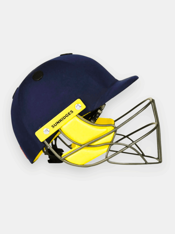 SS Pro Premium Cricket Helmet